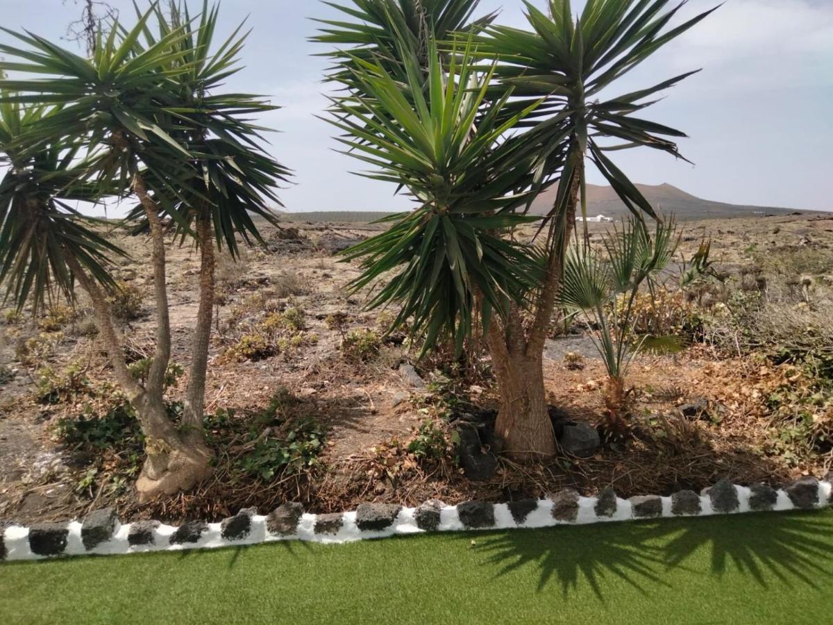 Lanzarote Casa Volcanica-Anclada Sobre La Lava Del Volcan Montana Blanca Εξωτερικό φωτογραφία