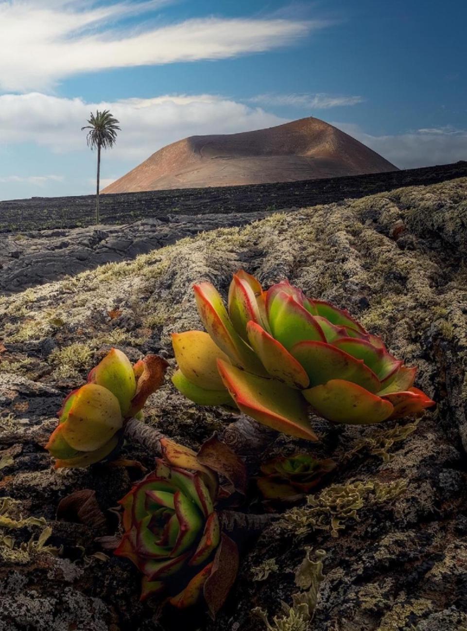 Lanzarote Casa Volcanica-Anclada Sobre La Lava Del Volcan Montana Blanca Εξωτερικό φωτογραφία